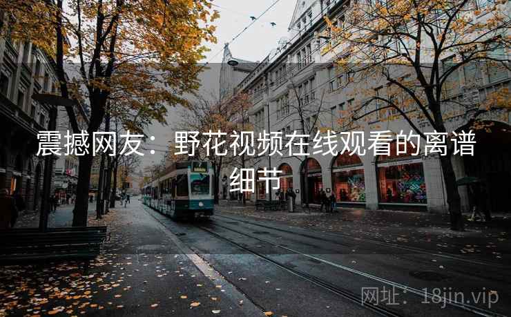 震撼网友：野花视频在线观看的离谱细节  第2张