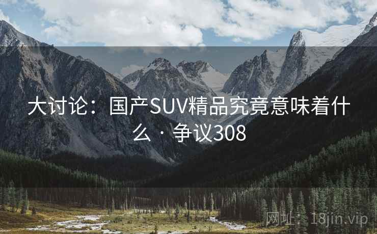 大讨论：国产SUV精品究竟意味着什么 · 争议308  第1张