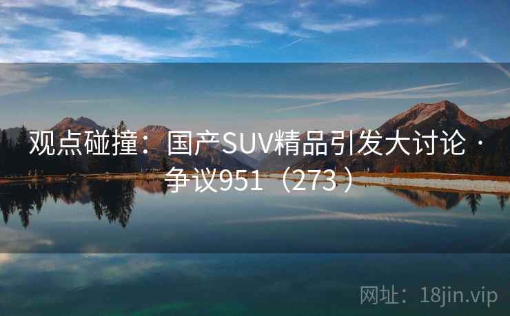 观点碰撞:国产SUV精品引发大讨论 · 争议951(273 )