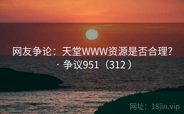 网友争论:天堂WWW资源是否合理? · 争议951(312 )