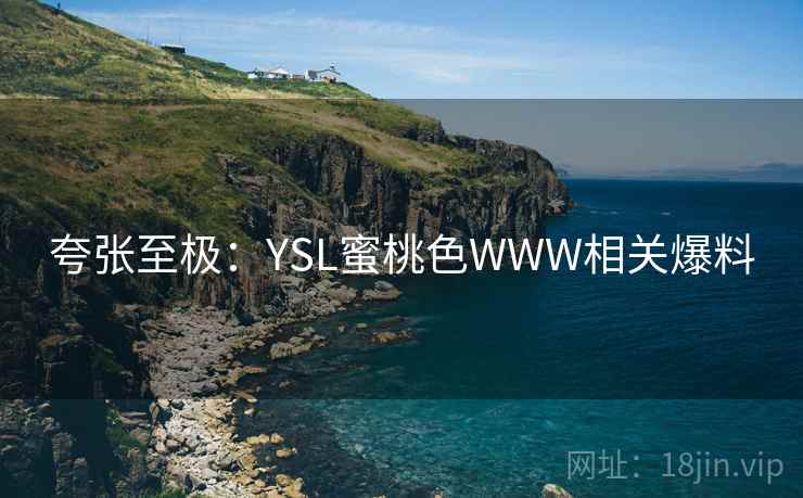 夸张至极:YSL蜜桃色WWW相关爆料  第1张 夸张至极:YSL蜜桃色WWW相关爆料  第1张